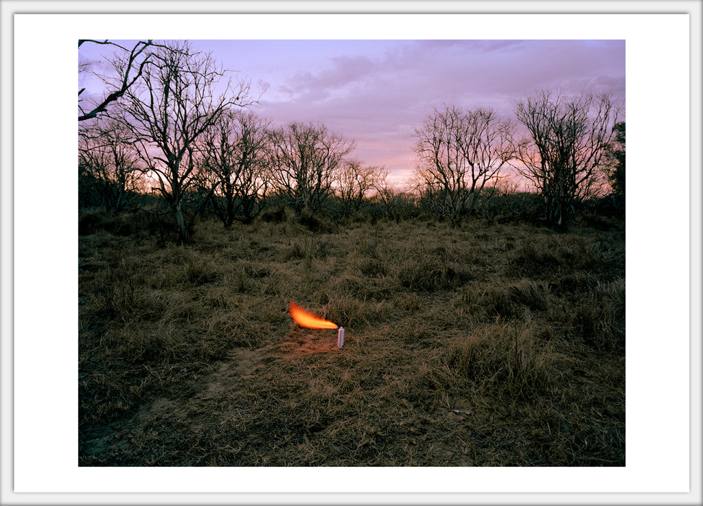 An Aerosol Container in an Abandoned Peach Orchard 4x6 postcard