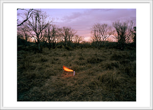An Aerosol Container in an Abandoned Peach Orchard 4x6 postcard