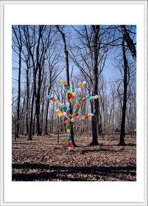 Balloon Tree 4x6 postcard