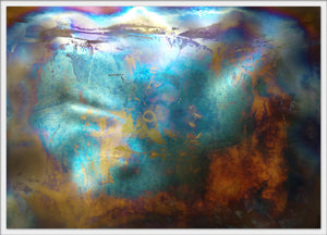 Decomposed still negative 4x6 postcard
