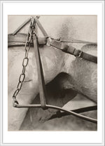 Spiritual America Alfred Stieglitz 4x6 postcard